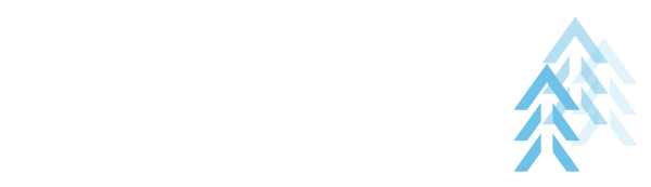 Spring B's Agent Attraction System